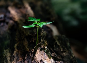 Projeto de Meio Ambiente